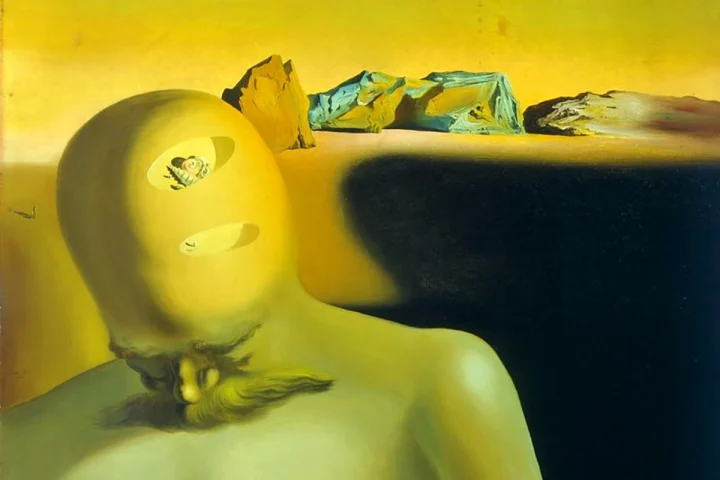 The Cranial Reflection by Salvador Dali, 1930. Source: The Dali Museum, St. Petersburg, Florida