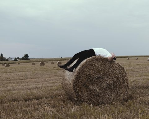 https://pixabay.com/photos/man-model-field-haystack-roll-5475208/
